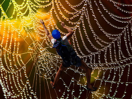 fantasy, cobweb, mountaineer, pattern, beaded, drop of water, spider web, one person, nature, water, full length, men, fragility, spider, real people, focus on foreground, outdoors, beauty in nature, illuminated, lifestyles, night, skill, arthropod, 2K, CC0, public domain, royalty free