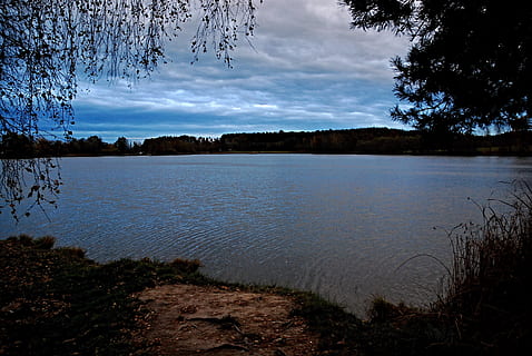 puesta de sol, estanque, superficie, nubes, bohemia del sur, ramas de los árboles, noche, nivel de agua, borde del estanque, vista, otoño, agua, árbol, tranquilidad, planta, lago, escena tranquila, paisajes - naturaleza, belleza en la naturaleza, cielo, naturaleza, nadie, nube - cielo, crecimiento, bosque, escena no urbana, día, a orillas del lago, tierra, playa, al aire libre, 4K, CC0, dominio público, libre de derechos