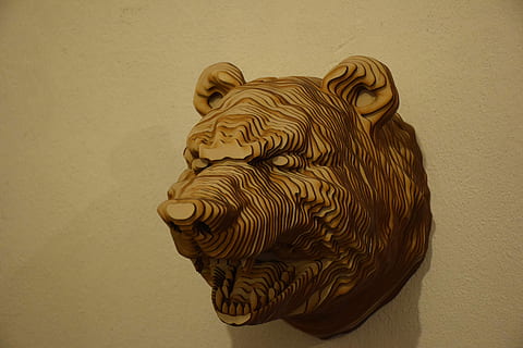Kopf, Bär, Baum, Tiere, Wand, lebende Natur, zeitgenössische Kunst, Exposition, farbiger Hintergrund, ein Tier, Tierthemen, Studioaufnahme, Nahansicht, keine Leute, drinnen, Kunst und Handwerk, Wandbau - Funktion, Kunst, Kreativität, Tier, einzelnes Objekt, Dekoration, Holz - Material, Muster, Stillleben, Darstellung, braun, Tierdarstellung, Design, aufwendig, 4K, CC0, gemeinfrei, lizenzfrei