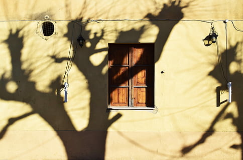 ombra, arbres, reflectint, beix, paret, marchit, arbre, llum solar, finestra, estructura construïda, exterior de l'edifici, naturalesa, arquitectura, funció de construcció de parets, dia, penjant, equips d’il·luminació, cap gent, assolellat, a l'aire lliure, edifici, planta, carrer, centrar-se en l'ombra, electricitat, llum elèctrica, 5K, CC0, domini públic, lliure de regalies