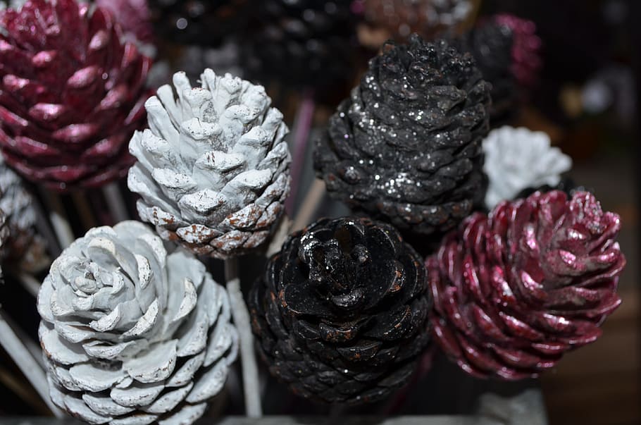 โคนต้นสน, pinecones, ต้นสน, กรวย, ตกแต่ง, เครื่องประดับ, ธรรมชาติ, Pinecone, วันหยุด, ฅ้นเฟอร์, เทศกาล, เขียวตลอดปี, เรียบร้อย, ต้นไม้, การตกแต่ง, อาหารและเครื่องดื่ม, อาหาร, ใกล้ชิด, ในบ้าน, ความสด, สีม่วง, รับประทานอาหารเพื่อสุขภาพ, คุณภาพชีวิต, ไม่มีคน, มุ่งเน้นไปที่เบื้องหน้า, ขายปลีก, ผัก, กลุ่มวัตถุขนาดใหญ่, กลุ่มวัตถุ, เลือกโฟกัส, สตูดิโอยิง, ปลูก, เต็มกรอบ, ยังมีชีวิตอยู่, ผลไม้, 4K