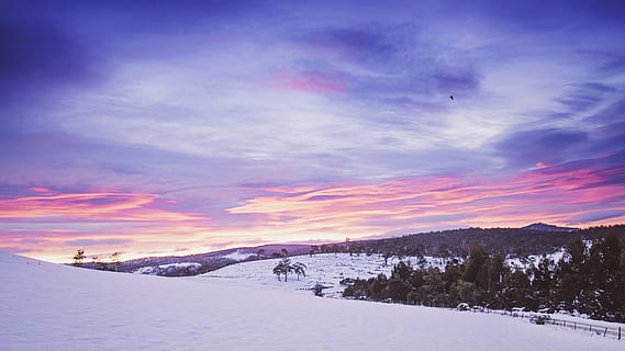 kalt, Schnee, Dämmerung, Natur, Wolken, Wald, zing, Frost, eisig, gefroren, Eis, idyllisch, szenisch, Himmel, schneebedeckt, still, Bäume, Winter, kalte Temperatur, Umgebung, Landschaft, Szenen - Natur, Schönheit in der Natur, wolke - himmel, Baum, Land, Sonnenuntergang, Pflanze, Berg, Ruhe, ruhige Szene, keine Leute, Kiefer, Nadelbaum, Kiefernwald, draußen, schneit, 5K, CC0, gemeinfrei, lizenzfrei