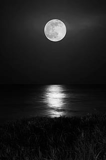 Mond, und, Fluss 2, Himmel, Nacht-, Szenen - Natur, Vollmond, Wasser, Schönheit in der Natur, Meer, keine Leute, Natur, ruhige Szene, Ruhe, Platz, Land, Astronomie, Horizont über Wasser, Horizont, Kreis, draußen, planetarischer Mond, Mondlicht, 2K, CC0, gemeinfrei, lizenzfrei