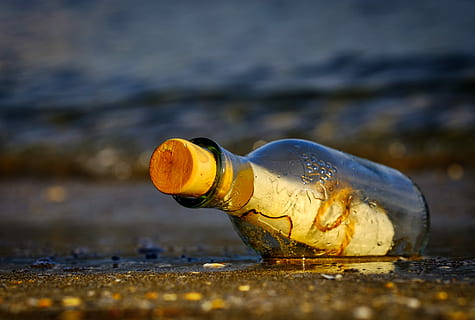 clear, glass bottle, cork, message in a bottle, bottle, sea, message, wreck, letter, water, close-up, no people, beach, day, single object, nature, land, outdoors, focus on foreground, animal, selective focus, water pollution, pollution, animal wildlife, abandoned, wood - material, seashell, melting, surface level, 5K, CC0, public domain, royalty free