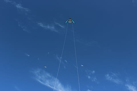 cel blau, blau, dracs, núvols, sol, naturalesa, cel, blau, dracs, natura del sol, Holanda, Holanda Septentrional, estiu, vent, volar, primavera, vista d’angle baix, núvol - cel, volant, dia, cometa - joguina, cap gent, a l'aire, bellesa a la natura, a l'aire lliure, animal, avió, temes d'animals, vehicle aeri, fauna animal, pol, tranquil·litat, transport, pista de vapor, directament a sota, 5K, CC0, domini públic, lliure de regalies