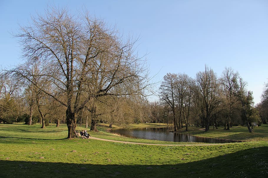parc, banc, llac, primavera, naturalesa, arbre, planta, arbre nu, cel, herba, tranquil·litat, bellesa a la natura, escena tranquil·la, cel clar, dia, escenics - natura, parc - l'home va fer espai, color verd, aigua, cap gent, llum solar, a l'aire lliure, branca, 5K