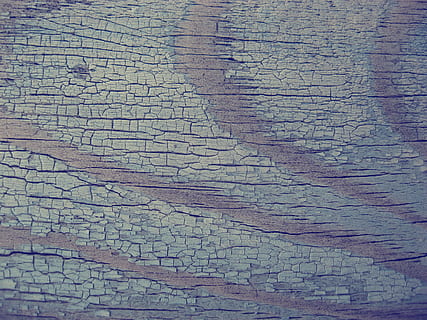 boom, structuur, detailopname, hout textuur, ruw, timmerhout, natuurlijke textuur, blauw, oud, retro, wijnoogst, rustiek, volledig kader, achtergronden, getextureerde, patroon, geen mensen, gebarsten, dag, beschadigde, architectuur, ingebouwde structuur, buitenshuis, muur - bouwfunctie, kunst en ambacht, natuur, muur, afwijzen, verweerde, verslechtering, 2K, CC0, publiek domein, royaltyvrij