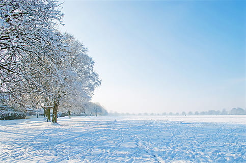 sne, dækket, bar, træ, hvid, skyer, blå, himmel, pæn, vinter, dag, træer, snedækket, sneede, sæsoner, natur, xmas, jul, afdeling, grene uden blade, sol, parkere, frost, koldtemperatur, sæson, Skov, udendørs, landskab, is, Frosset, vejr, kold temperatur, plante, hvid farve, kopiere plads, ro, miljø, rolig scene, skønhed i naturen, scenics - natur, jord, ingen mennesker, sner, frosset vand, 1080P, CC0, offentligt domæne, royaltyfrie