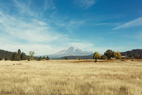 verde, hoja de arbol, montaña, volcán, ver, distante, paisaje, hierba, prado, seco, marrón, marchito, naturaleza, vegetación, alto, pico, cumbre, temporada, verano, al aire libre, belleza en la naturaleza, campo, scenics, escena tranquila, día, tranquilidad, cielo, ambiente, planta, paisajes - naturaleza, tierra, nadie, nube - cielo, escena no urbana, cordillera, árbol, azul, pico de la montaña, Montaña cubierta de nieve, Semi árido, 4K, CC0, dominio público, libre de derechos