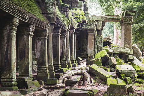 Tempelruinen, Urwald, Kambodscha, graue Betonpfosten, Gebäude, Struktur, Säule, alt, die Architektur, gebaute Struktur, Geschichte, die Vergangenheit, uralt, Anbetungsstätte, alte Ruine, alte Zivilisation, Religion, Glauben, Tag, keine Leute, Reiseziele, Spiritualität, Tourismus, Pflanze, verlassen, architektonische Säule, Archäologie, draußen, ruiniert, Verschlechterung, 5K, CC0, gemeinfrei, lizenzfrei