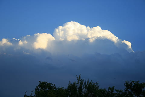 nuvole, cumulo, bianca, grande, pesante, ombreggiato, prendere la luce del sole, Treetops, cielo blu, cielo, nuvola - cielo, albero, bellezza nella natura, pianta, la tranquillità, scena tranquilla, natura, scenics - natura, nessuno, Inquadratura dal basso, giorno, all'aperto, blu, silhouette, idilliaco, crescita, scena non urbana, Cloudscape, luce del sole, meteorologia, 4K, CC0, dominio pubblico, privo di copyright