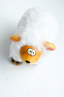 Pasen, schapen, decoratie, achtergrond, speelgoed-, pret, vakantie, uit, winkel, wol, keramiek, klein, vertegenwoordiging, creativiteit, witte kleur, detailopname, geen mensen, binnenshuis, kunst en ambacht, pluche speelgoed, menselijke representatie, studio opname, enkel object, zachtheid, stilleven, sneeuw, focus op de voorgrond, 1080P, CC0, publiek domein, royaltyvrij