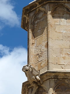 รางน้ำฝนรูปสัตว์, หอคอย, สไตล์โกธิค, หินแกะสลัก, Tortosa, รูปปั้น, ประติมากรรม, ประวัติศาสตร์, สถาปัตยกรรม, ไม่มีคน, ท้องฟ้า, มุมมองที่ต่ำ, การแสดง, ศิลปะและงานฝีมือ, ที่ผ่านมา, โครงสร้างที่สร้างขึ้น, การเป็นตัวแทนของมนุษย์, ความคิดสร้างสรรค์, ภายนอกอาคาร, เมฆ - ท้องฟ้า, วัน, งานฝีมือ, อาคาร, จุดหมายปลายทางการท่องเที่ยว, โบราณ, คอลัมน์สถาปัตยกรรม, กลางแจ้ง, อารยธรรมโบราณ, โทรม, แกะสลัก, 4K, CC0, โดเมนสาธารณะ, ค่าลิขสิทธิ์ฟรี