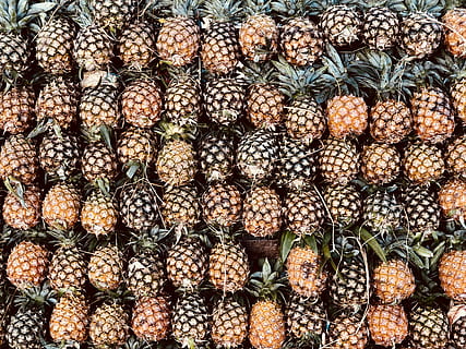 Haufen, Ananasfrüchte, Ananas viel, Ananas, Obst, Muster, tropisch, Rücken, Textur, Lebensmittel, Wand, Süss, Fotografie, Essen und Trinken, Vollbild, Hintergründe, Fülle, große gruppe von gegenständen, gesundes Essen, keine Leute, Wohlbefinden, Frische, Anordnung, Tropische Frucht, Stillleben, in einer Reihe, Seite an Seite, zu verkaufen, Tag, Auftrag, 4K, CC0, gemeinfrei, lizenzfrei
