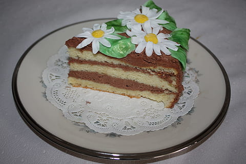 bolo, camomila, Brigadeiro, comida doce, comida e bebida, placa, sobremesa, frescura, doce, pronto para comer, Comida, cozido, indulgência, dentro de casa, ainda vida, tentação, porção, alimentação pouco saudável, fechar-se, ninguém, visão de alto ângulo, flor, cobertura, guarnição, enfeite, adorno, 4K, CC0, domínio público, royalty free