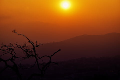 sunset, temple, tree, silhouette, outdoors, nature, night, beauty in nature, no people, bare tree, scenics, landscape, sky, tranquility, scenics - nature, sun, tranquil scene, environment, plant, mountain, dramatic sky, orange color, branch, twilight, romantic sky, dark, 5K, CC0, public domain, royalty free