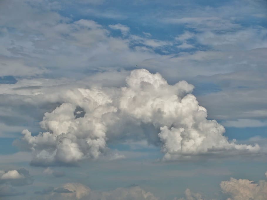 cumulonimbus, cloudscape, núvols, Cúmulus, cel, temps, colors, blanc, gris, blau, núvol - cel, bellesa a la natura, escenics - natura, tranquil·litat, escena tranquil·la, dia, cap gent, naturalesa, a l'aire lliure, Color blanc, idíl·lic, vista d’angle baix, medi ambient, esponjós, fons, escena no urbana, suavitat, meteorologia, 1080P