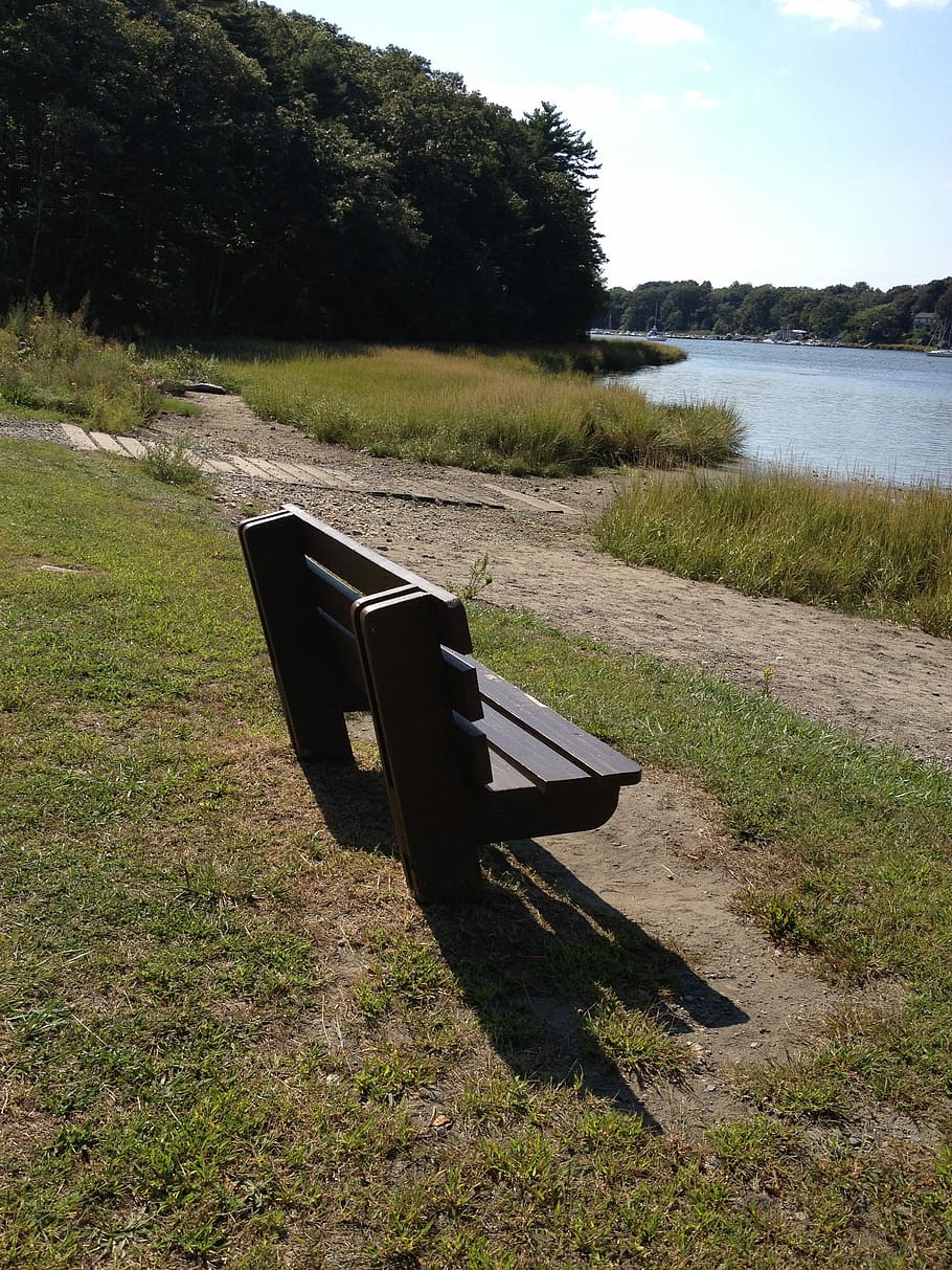 Bank, ruhig, denken, draussen, Park, still, Entspannen Sie Sich, Pfad, Abwesenheit, Gras, keine Leute, draußen, Wasser, Tag, Pflanze, Natur, Ruhe, Schönheit in der Natur, Wachstum, Sonnenlicht, See, Baum, ruhige Szene, Land, Himmel, Szenen - Natur, Feld, Sitz, 2K
