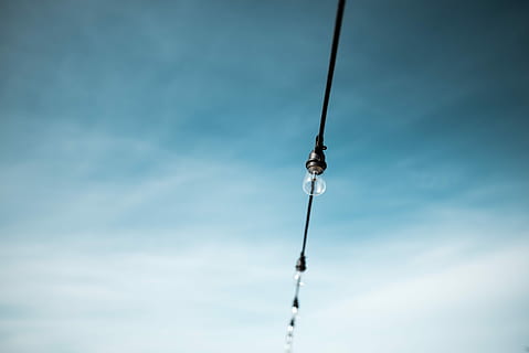 foto, string light bulb, fotografi fokus, bersih, LED, bohlam, tali, putih, langit, siang hari, cahaya, biru, kawat, gantung, bolam, baris, awan, kabel, alam, dekorasi, tampilan sudut rendah, hari, penangkapan ikan, olahraga, aktivitas, satu orang, tongkat, tongkat pancing, di luar rumah, menyalin ruang, awan - langit, memegang, tepat di bawah, 5K, CC0, domain publik, bebas royalti