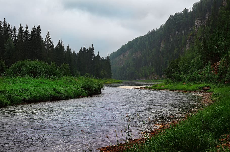 usva, řeka, mraky, hory, usva, řeka, letní, horské řeky, cesta, skály, kameny, cestovní ruch, borovice, krajina, permian, ural, voda, strom, Příroda, mrak - nebe, scén, rostlina, krása v přírodě, scenics - příroda, klidné scény, klid, nebe, nikdo, růst, mimoměstské scény, les, den, přistát, životní prostředí, tráva, tekoucí, tekoucí voda, 5K