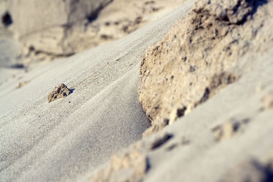 areia, fundo, deserto, seco, montanha, natureza, ao ar livre, terra, energia, pó, quartzo, rock - objeto, animal, animais selvagens, temas animais, animais em estado selvagem, foco seletivo, um animal, dia, ninguém, inseto, invertebrado, sólido, vertebrado, luz solar, fechar-se, Rocha, lagarto, 4K