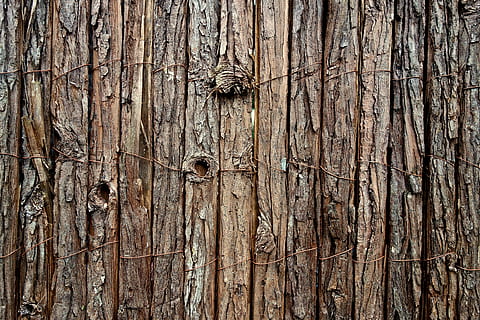 gard, post, lemn, post brutal, net de gard, latra, gard de lemn, cherestea, texturată, lemn - material, fundaluri, cadru complet, model, vechi, nici o persoana, stare brută, maro, erodate, a închide, rumegus, scândură, deteriorat, zi, în aer liber, crăpat, modelul natural, copac, cui, texturat efect, 4K, CC0, domeniu public, fără drepturi de autor