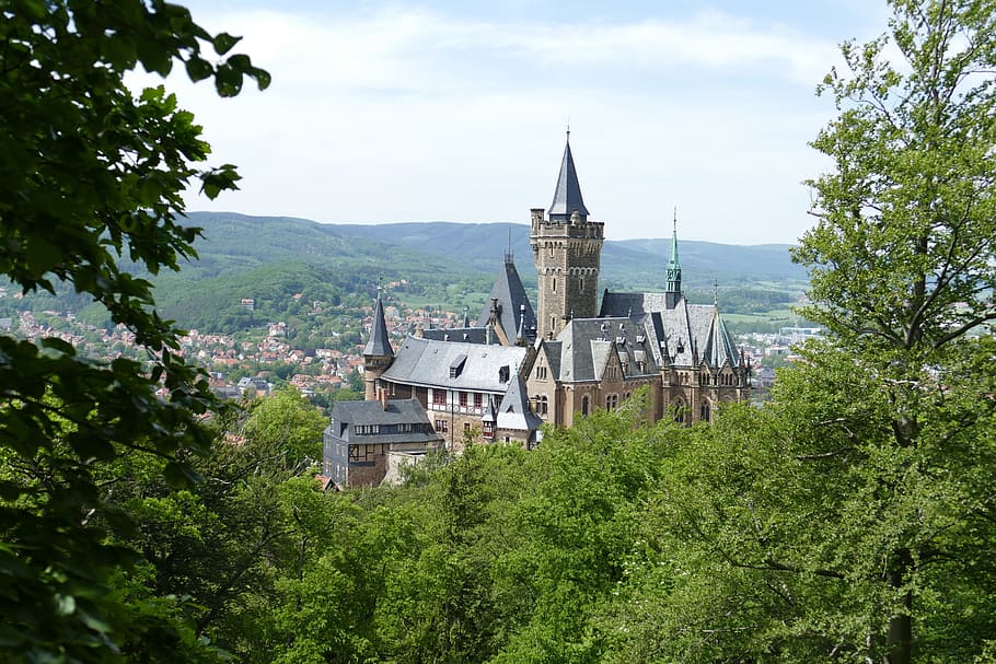castell, wernigerode, bosc, naturalesa, edat mitjana, fortalesa, arquitectura, europa, torre, lloc famós, Església, història, vell, arquitectura i edificis, arbre, cap gent, destinacions de viatge, exterior de l'edifici, planta, estructura construïda, edifici, cel, lloc de culte, religió, creixement, color verd, espiritualitat, creença, dia, núvol - cel, muntanya, fletxa, a l'aire lliure, 5K