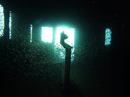 nero, inviare, dentro, camera, immersione, relitto, subacqueo, acqua, mare, ponte, ambientazione, mistico, nave, incidente, sventura, rottame, luce, luce posteriore, una persona, attività di svago, persone reali, sottomarino, immersioni in subacquea, sport, stili di vita, sport acquatico, lunghezza intera, natura, silhouette, avventura, persona irriconoscibile, uomini, flipper subacqueo, all'aperto, 2K, CC0, dominio pubblico, privo di copyright