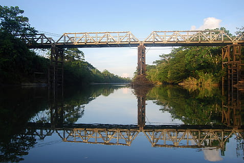 Amazon, Bridge, Reflection, Water, brightness, mirror, landscape, nature, river, ecuador, bridge - man made structure, architecture, connection, built structure, sky, tree, plant, transportation, no people, day, railway bridge, outdoors, arch bridge, 2K, CC0, public domain, royalty free
