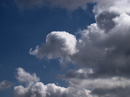moln, regn, mörk, himmel, blå, natur, stackmoln, dag, moln - himmel, skönhet i naturen, lågvinkelvy, scenics - natur, lugn, vit färg, inget folk, utomhus, lugn plats, bakgrunder, clouds, idyllisk, solljus, fluffig, miljö, mjukhet, meteorologi, 2K, CC0, offentligt domän, royaltyfria