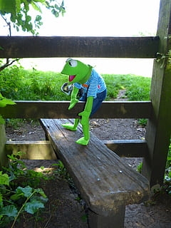 Kermit, rana, superare, cancello, legna, recinto, recinzione in legno, tavole di legno, ingresso, limite, solo bambini, solo un ragazzo, infanzia, bambino, una persona, maschi, pianta, legno - materiale, giorno, colore verde, persone reali, lunghezza intera, natura, abbigliamento casual, attività di svago, stili di vita, vista laterale, crescita, in piedi, struttura costruita, architettura, all'aperto, 4K, CC0, dominio pubblico, privo di copyright