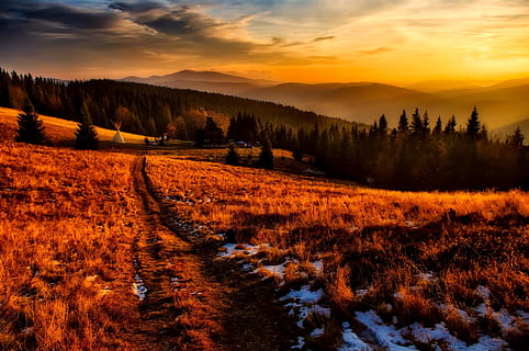 fotografia di paesaggio, Marrone, campo, giorno, erba verde, alberi, montagne, Polonia, cielo, nuvole, tramonto, crepuscolo, paesaggio, prato, teepee, campeggio, natura, all'aperto, foresta, boschi, nazione, campagna, rurale, natura selvaggia, casetta, hdr, Paesaggi, nuvola - cielo, bellezza nella natura, scenics - natura, pianta, scena tranquilla, la tranquillità, albero, colore arancione, ambiente, scena non urbana, terra, nessuno, montagna, idilliaco, crescita, 1080P, CC0, dominio pubblico, privo di copyright
