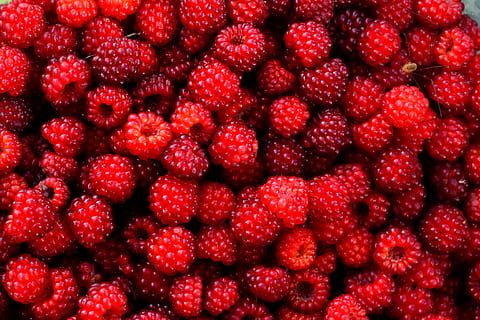 tumpukan raspberry, frambos, merah, beri, buah, liar, mengumpulkan, menanam, musim panas, makan, pemetikan, makanan, anggur, segar, makanan ternak, alam, buah berry, makan sehat, makanan dan minuman, kesejahteraan, latar belakang, kelimpahan, bingkai penuh, stroberi, merapatkan, tidak ada orang, kesegaran, sekelompok besar objek, matang, organik, dalam ruangan, berair, tembakan studio, latar belakang hitam, 4K, CC0, domain publik, bebas royalti