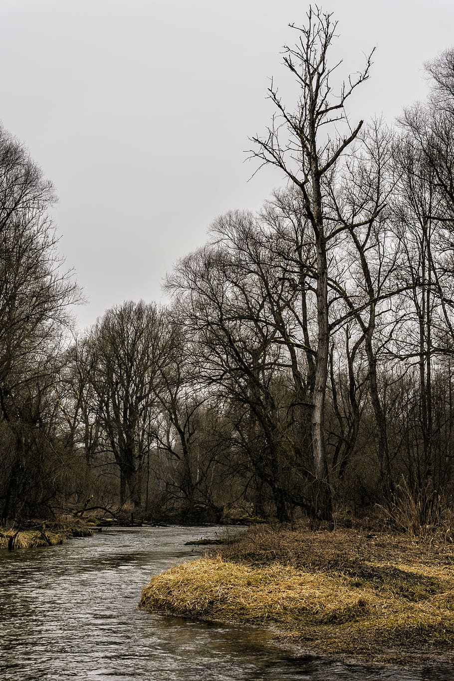 bosc, bach, arbres, molsa, herba, aigua, naturalesa, paisatge, superfície de l'aigua, idíl·lic, humor, hivern, boscos, reflexió, duplicació, tardor, baviera, Alemanya, amper, ammer, fulles, colorit, plovent, idil·li, cel, visualització, neu, arbre, temperatura de fred, arbre nu, cap gent, escenics, planta, tranquil·litat, bellesa a la natura, escena tranquil·la, terra, dia, escenics - natura, escena no urbana, riu, a l'aire lliure, davant del mar, branca, 5K