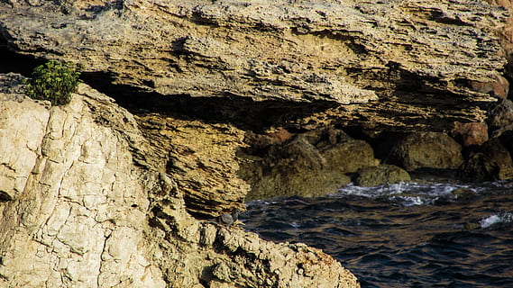 rock, agut, salvatge, mar, naturalesa, geologia, Xipre, ayia napa, rock - object, formació de roca, sòlid, bellesa a la natura, textura, geografia física, dia, cap gent, aigua, aspre, tranquil·litat, a l'aire lliure, cova, terra, erosionat, formació, 4K, CC0, domini públic, lliure de regalies