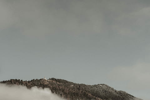 photo, mountain, trees, daytime, mountain range, cloud, cloudy, forest, winter, peak, sky, blank space, wallpaper, panorama, horizon, alp, restaurant, switzerland, nature, tranquility, no people, beauty in nature, plant, scenics - nature, environment, tree, tranquil scene, land, cold temperature, copy space, day, non-urban scene, landscape, outdoors, snow, coniferous tree, 4K, CC0, public domain, royalty free