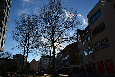 Ulm, albero, Stadtmitte, architettura, scena urbana, esterno dell'edificio, struttura costruita, città, cielo, costruzione, natura, strada, albero nudo, quartiere residenziale, nuvola - cielo, auto, modo di trasporto, mezzi di trasporto, veicolo a motore, vita di città, persone accessorie, pianta, giorno, all'aperto, appartamento, 2K, CC0, dominio pubblico, privo di copyright