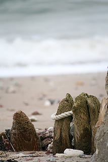 Strand, Sand, Meer, Küste, Entspannen Sie Sich, Strandsand, idyllisch, seelandschaft, Seil, Wasser, Fokus auf den Vordergrund, Natur, solide, Rock, Land, keine Leute, Schönheit in der Natur, Rock - Objekt, Tag, Ruhe, Stein - Objekt, Nahansicht, draußen, Stein, Szenen - Natur, ruhige Szene, Kieselstein, 2K, CC0, gemeinfrei, lizenzfrei