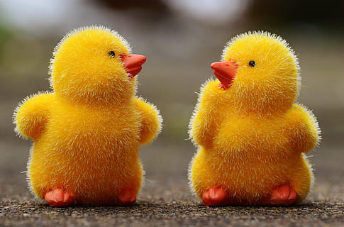 zwei, Entlein Spielzeug, Pflaster, selektiv, fokus fotografie, Küken, Ostern, süß, Zahl, Osterthema, Süss, Dekoration, Frühling, Gelb, Vogel, Tierthemen, junger Vogel, Gruppe von Tieren, Tier, Jungtier, keine Leute, Wirbeltier, Vieh, Nahansicht, Fokus auf den Vordergrund, Hühnchen - Vogel, Haustiere, inländisch, Geflügel, zwei tiere, Ente, 5K, CC0, gemeinfrei, lizenzfrei
