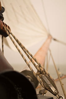 close-up, masts, rope, sail, sailboat, one person, musical instrument, arts culture and entertainment, music, occupation, indoors, real people, men, selective focus, hand, skill, human body part, musical equipment, human hand, musician, artist, holding, string instrument, stage, 5K, CC0, public domain, royalty free