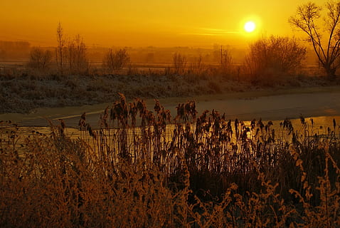 riu, hivern, posta de sol, llum, gelades, hora daurada, canya, aigua, congelat, paisatge, supraśl, podlasie, Polònia, cel, planta, bellesa a la natura, escenics - natura, tranquil·litat, arbre, escena tranquil·la, naturalesa, color taronja, terra, escena no urbana, camp, medi ambient, sol, cap gent, creixement, idíl·lic, a l'aire lliure, 2K, CC0, domini públic, lliure de regalies