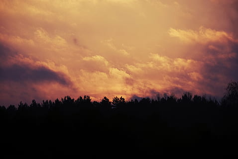 matahari terbenam, gunung, bayangan hitam, pohon, matahari terbit, langit, awan, pagi, alam, langit yang dramatis, pemandangan, awan - langit, hutan, tidak ada orang, keindahan di alam, scenics - alam, adegan yang tenang, ketenangan, menanam, lingkungan Hidup, adegan non-urban, warna oranye, tanah, idilis, gelap, di luar rumah, pohon pinus, pohon jenis konifera, hutan pinus, 4K, CC0, domain publik, bebas royalti