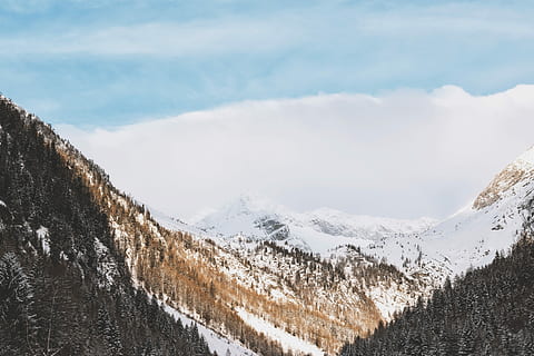antenne, udsigt, bjerge, bjergfelt, sne, bjerg, landskab, træ, skov, vinter, kold temperatur, skønhed i naturen, scenics - natur, sky - himmel, rolig scene, himmel, ro, miljø, bjergkæde, ikke-urbane scene, dag, natur, ingen mennesker, snedækket bjerg, plante, bjergtop, 5K, CC0, offentligt domæne, royaltyfrie
