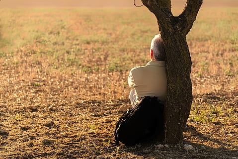 uomo, pendente, albero, campo d'erba, soledad, solo, paesaggio, estate, persone, sagome, sole, pomeriggio, calore, resisti, mano umana, parte del corpo umano, giorno, all'aperto, adulto, natura, solo adulti, terra, tronco d'albero, tronco, una persona, pianta, campo, retrovisore, donne, concentrarsi sulle conoscenze acquisite, persone reali, in piedi, capi di abbigliamento, luce del sole, stili di vita, acconciatura, fertilità umana, 5K, CC0, dominio pubblico, privo di copyright