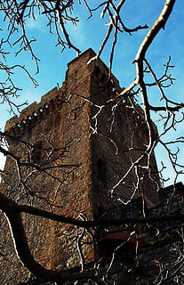 krajobraz, zamek, wieża, drzewo, zamek, wieża, architektura, foix, Francja, skała, pierwszoplanowy, nagie drzewo, żadnych ludzi, dzień, Oddział, Natura, niebo, roślina, niski kąt widzenia, na dworze, suchy, czyste Niebo, zbliżenie, światło słoneczne, skupić się na pierwszym planie, spokój, teksturowane, płot, wylądować, drewno - materiał, martwa roślina, 1080P, CC0, domena publiczna, darmowe zdjęcia