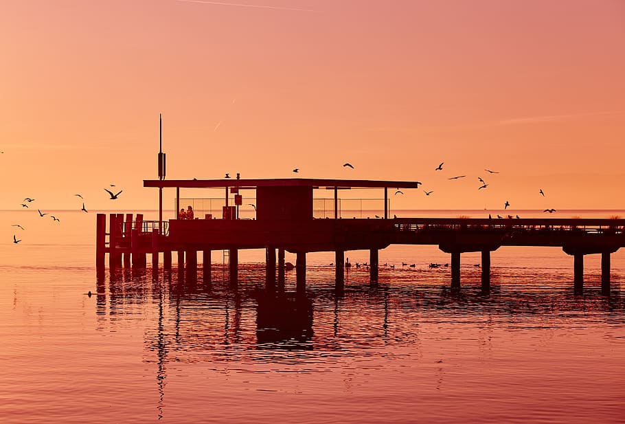 moll, platja, oceà, mar, ocells, posta de sol, vespre, silueta, ombra, cel, horitzó, aigua, davant del mar, transport, color taronja, reflexió, naturalesa, arquitectura, ocell, vertebrats, indústria, temes d'animals, estructura construïda, manera de transport, escenics - natura, cap gent, a l'aire lliure, 4K