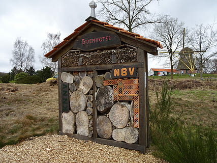 Bienen, Hotel, Natur, Frühling, Bienen Hotel, keine Leute, Tag, Landwirtschaft, Himmel, draußen, Baum, Text, solide, Kommunikation, Pflanze, die Architektur, Information, Feld, gebaute Struktur, westliche Schrift, Rock, Skript, kahler Baum, Land, nicht-westliche Schrift, Rock - Objekt, 2K, CC0, gemeinfrei, lizenzfrei