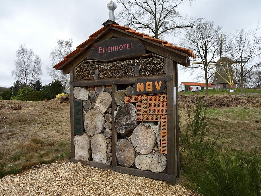 Bienen, Hotel, Natur, Frühling, Bienen Hotel, keine Leute, Tag, Landwirtschaft, Himmel, draußen, Baum, Text, solide, Kommunikation, Pflanze, die Architektur, Information, Feld, gebaute Struktur, westliche Schrift, Rock, Skript, kahler Baum, Land, nicht-westliche Schrift, Rock - Objekt, 2K
