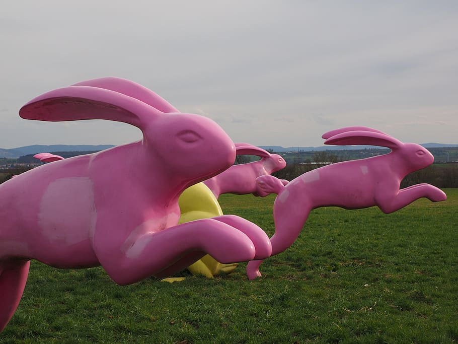 conill, springhares, obra d'art, rosa, conills de seient i de flitz, rosalie, madaris, ostfildern, esslingen, parc scharnhauser, conills gegants, colorit, art, art Modern, objecte d’art, art objecte, joguina, color rosa, representació, representació animal, infància, naturalesa, cel, animal, herba, dia, planta, temes d'animals, parc, a l'aire lliure, parc - l'home va fer espai, metall, camp, terra, llum solar, equip de joc a l'aire lliure, inflable, 4K