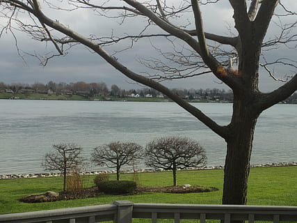 flod, vand, træer, skyer, vinter, natur, kold, scene, udendørs, december, plante, træ, ro, himmel, scenics - natur, sø, skønhed i naturen, bare træ, ingen mennesker, rolig scene, græs, afdeling, dag, bagagerum, træstamme, 4K, CC0, offentligt domæne, royaltyfrie